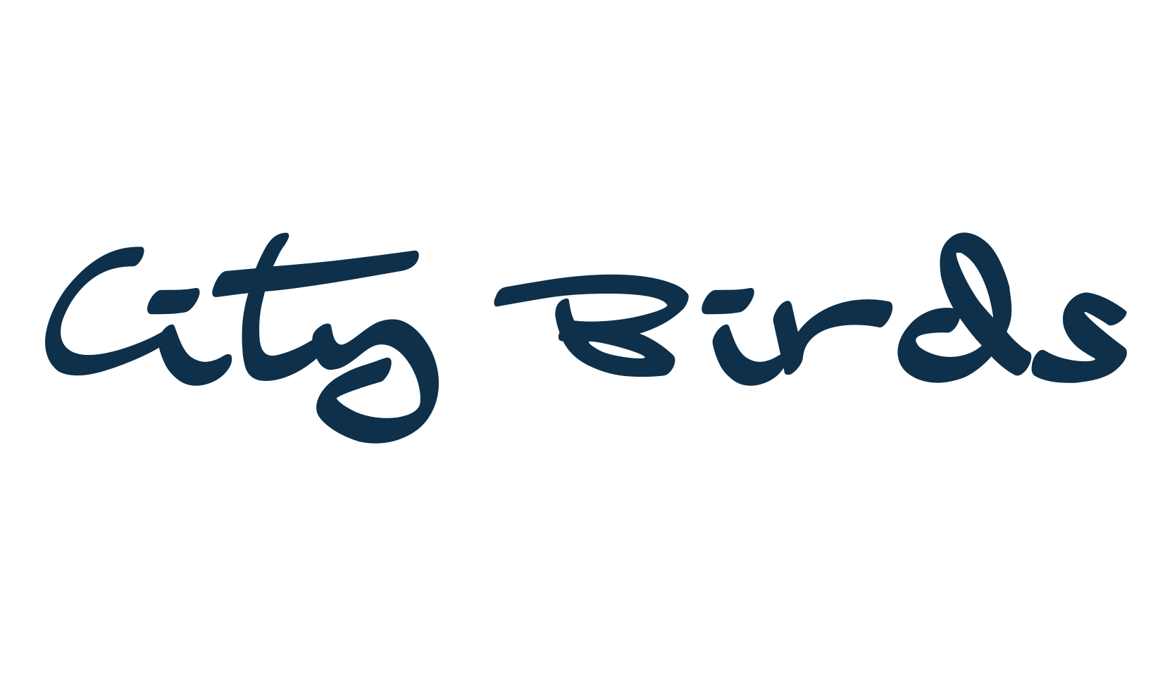 City Birds, handwriting font preview