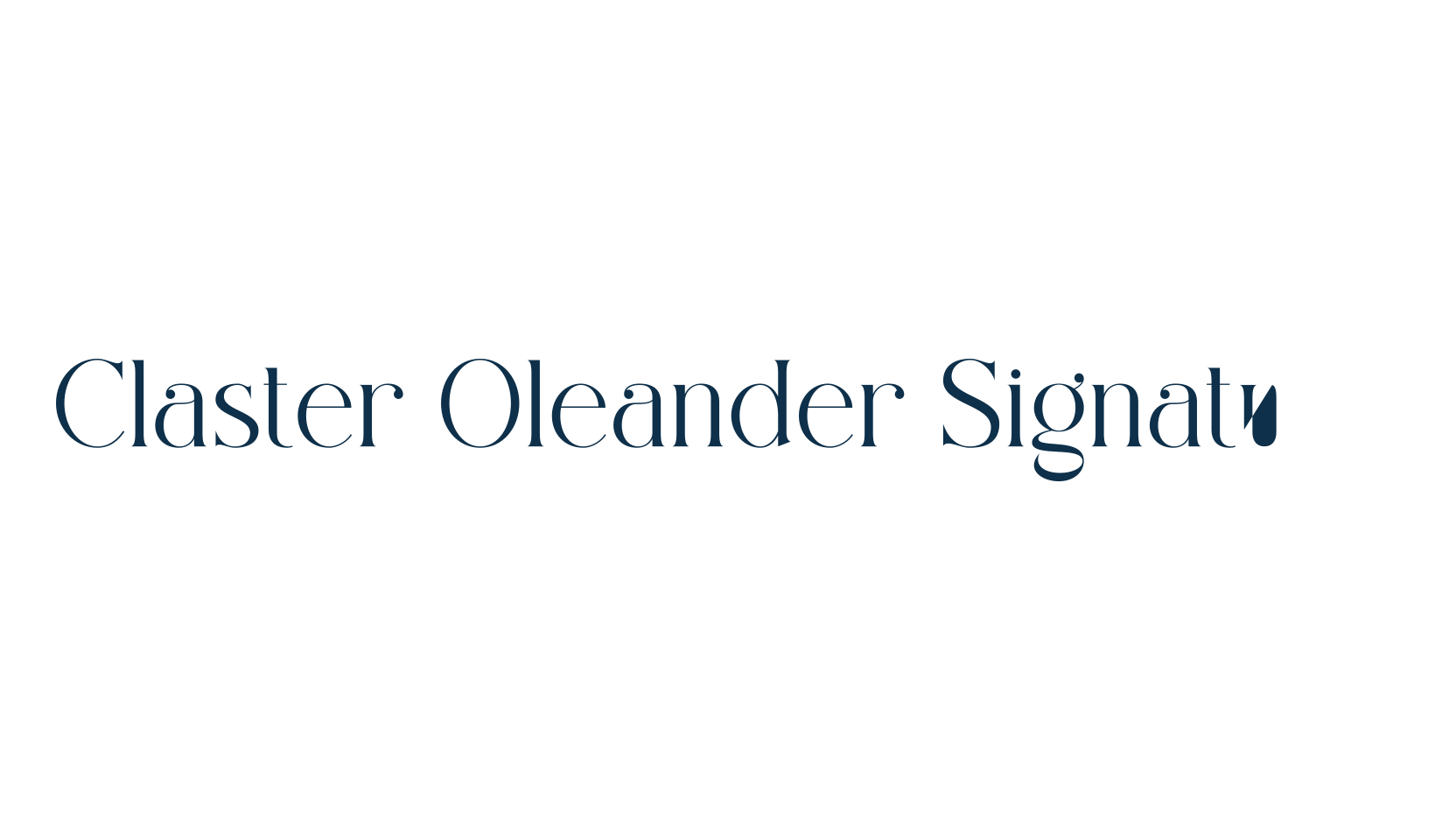 Claster Oleander Signature, script handwritten fancy decorative calligraphy font preview