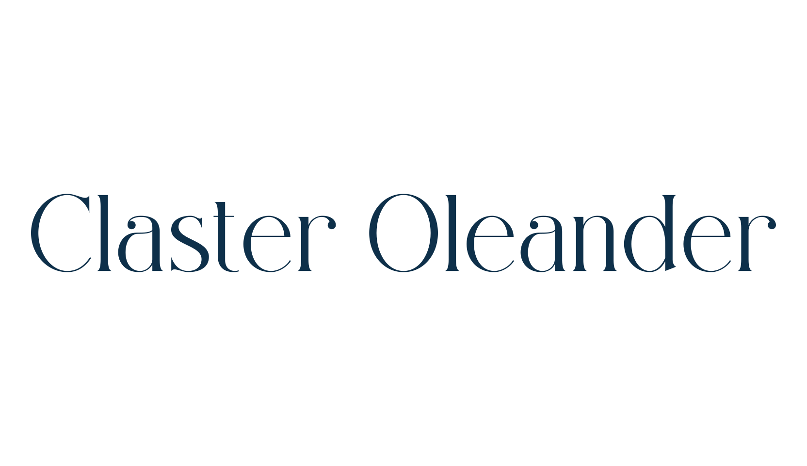 Claster Oleander, basic serif font preview