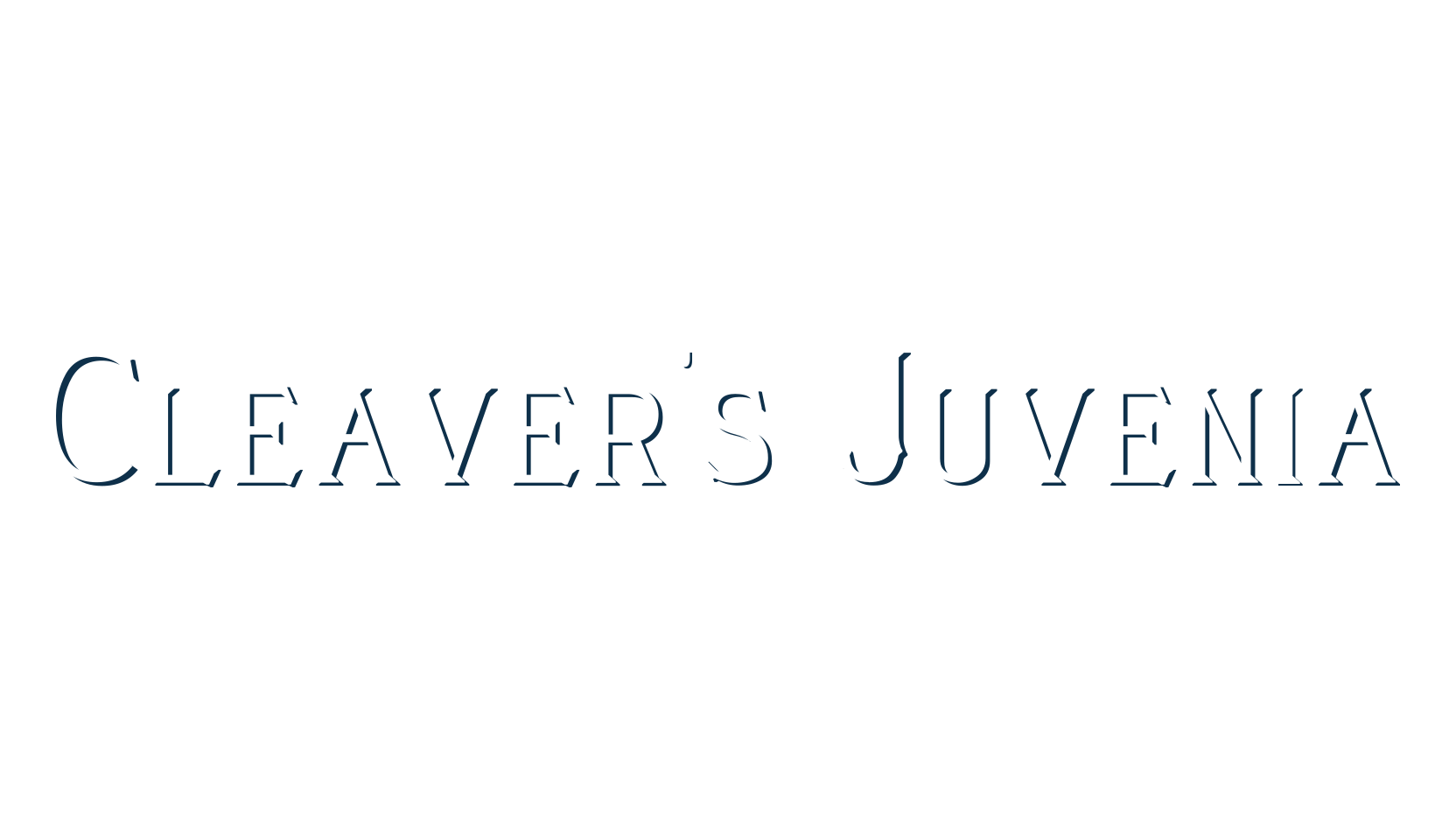 Cleaver's Juvenia, basic serif font preview