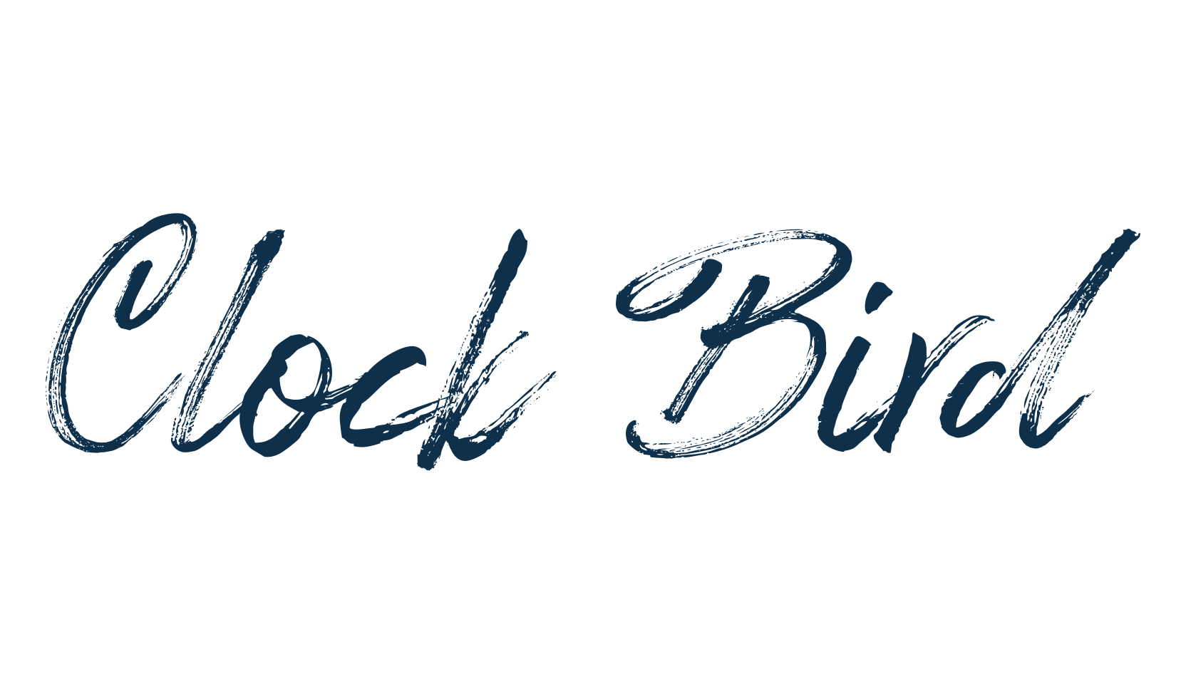 Clock Bird, script brush fancy decorative calligraphy font preview