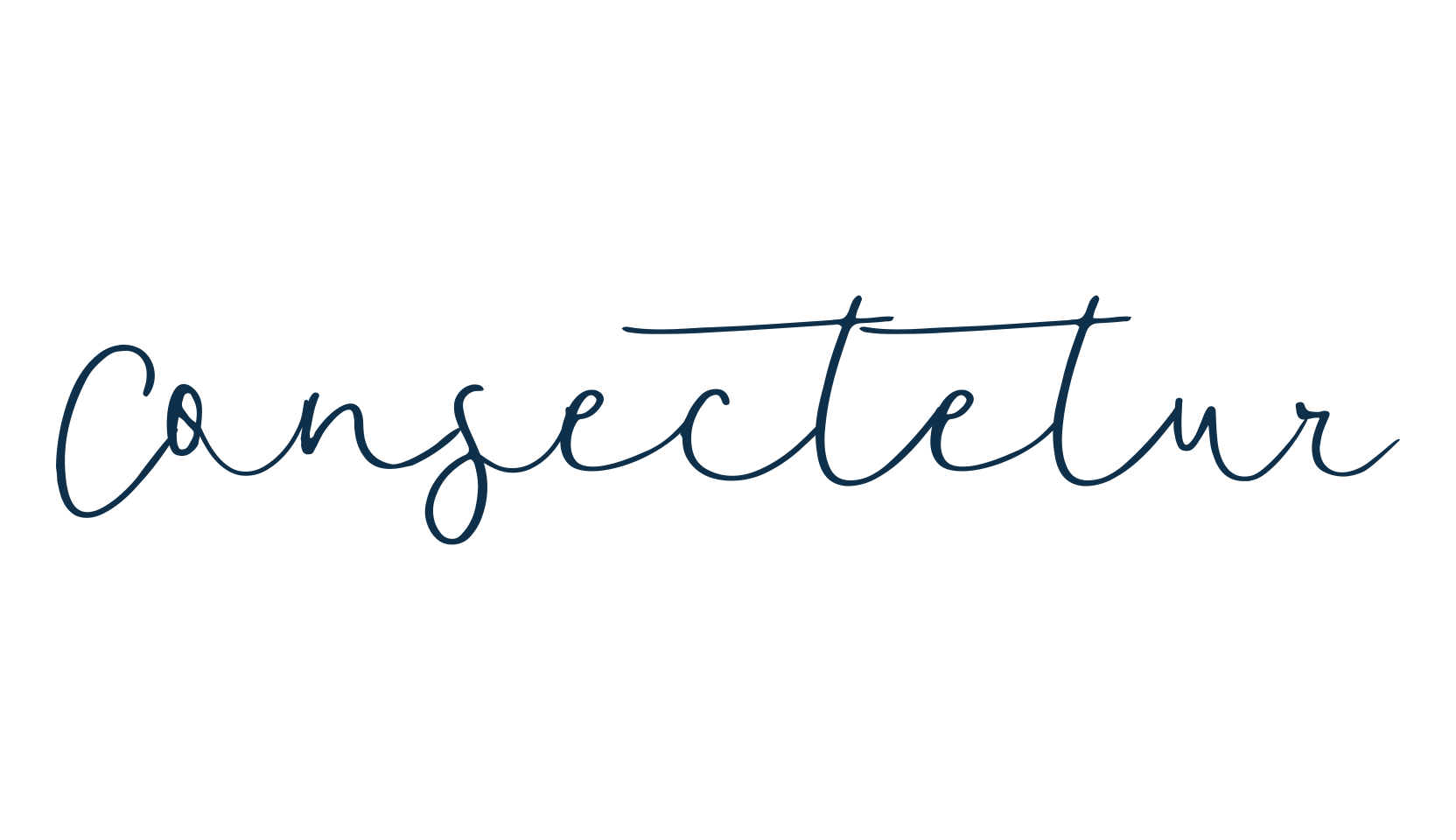 Consectetur, script handwritten fancy decorative calligraphy font preview