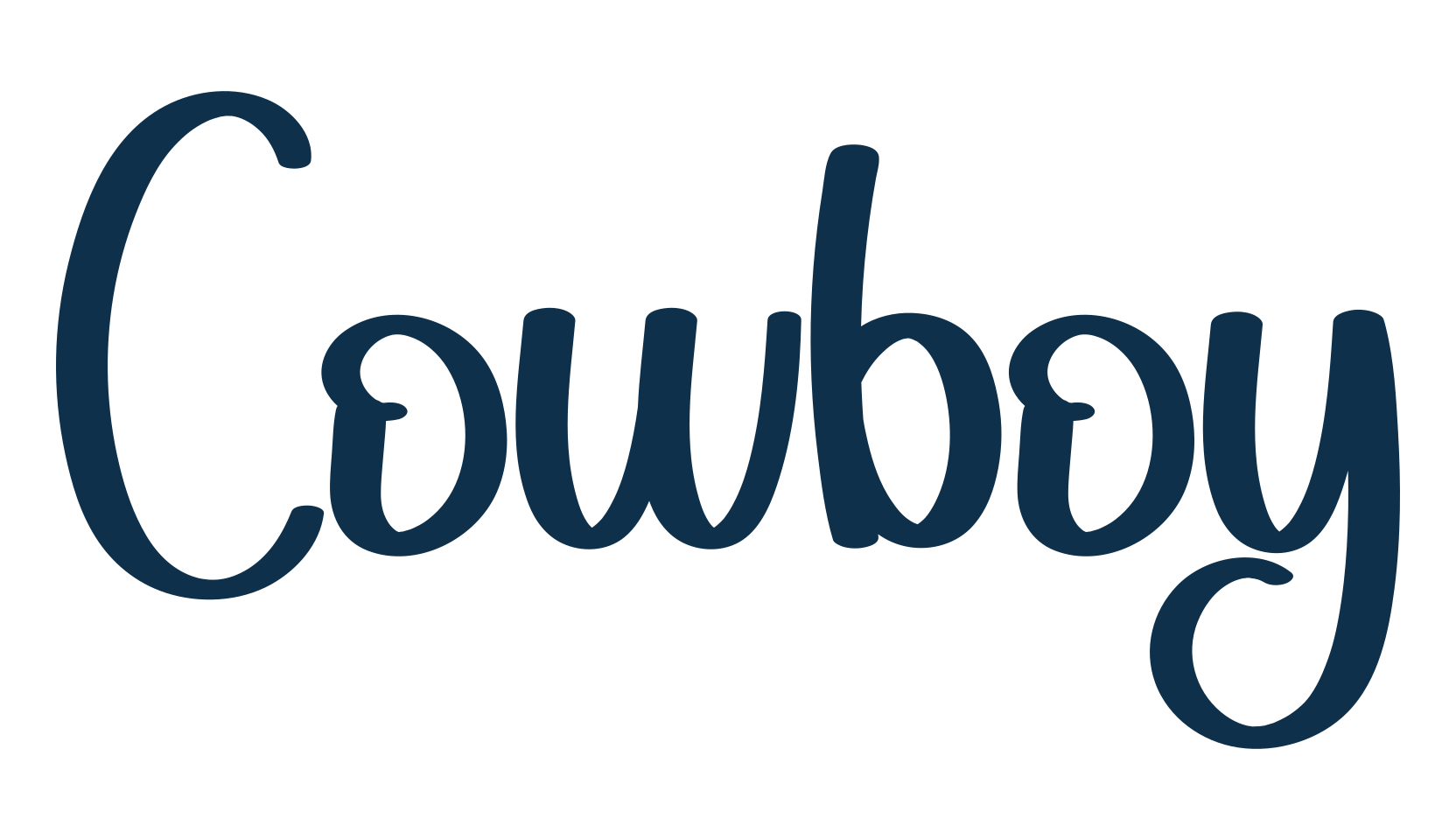 Cowboy, script handwritten fancy decorative calligraphy font preview
