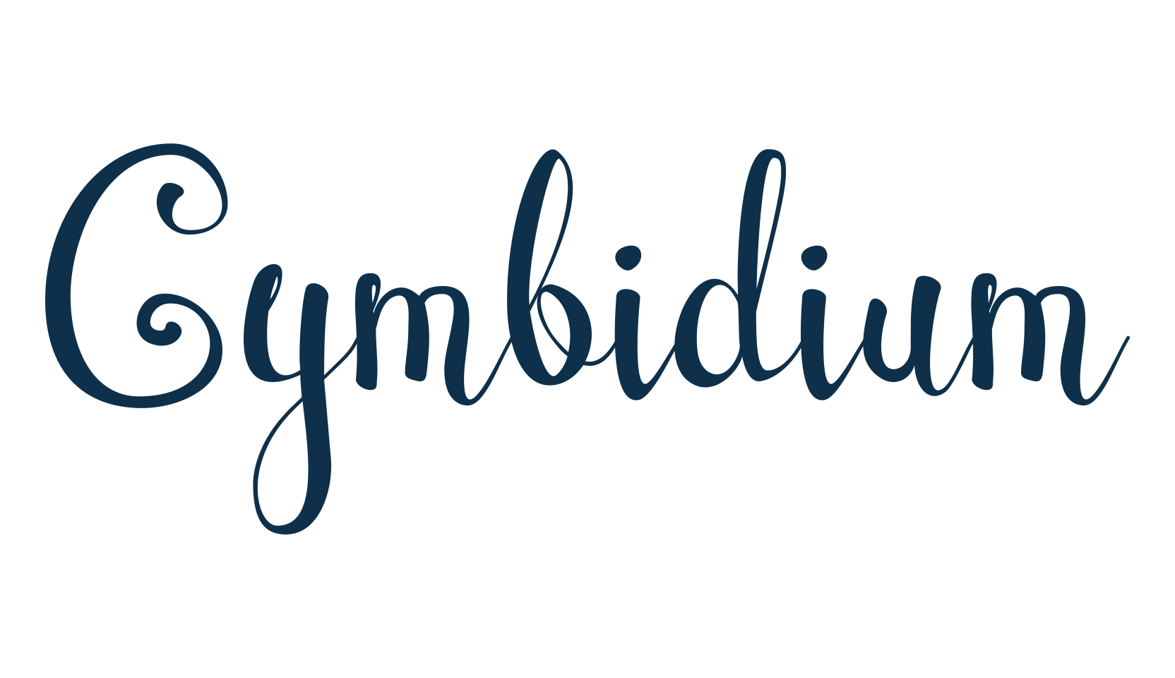 Cymbidium, calligraphy font preview