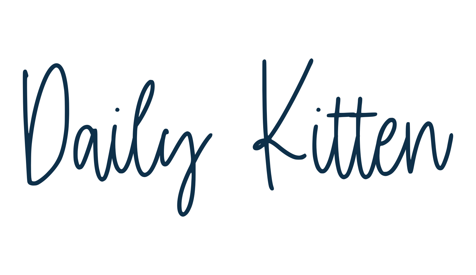 Daily Kitten, script handwritten fancy decorative calligraphy font preview