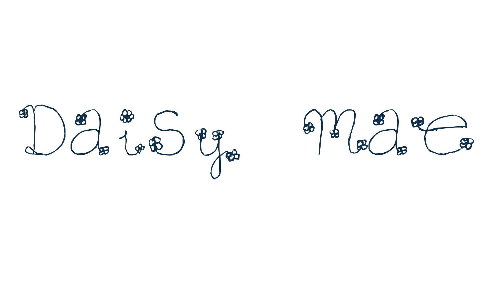 Daisy Mae, fancy curly decorative font preview