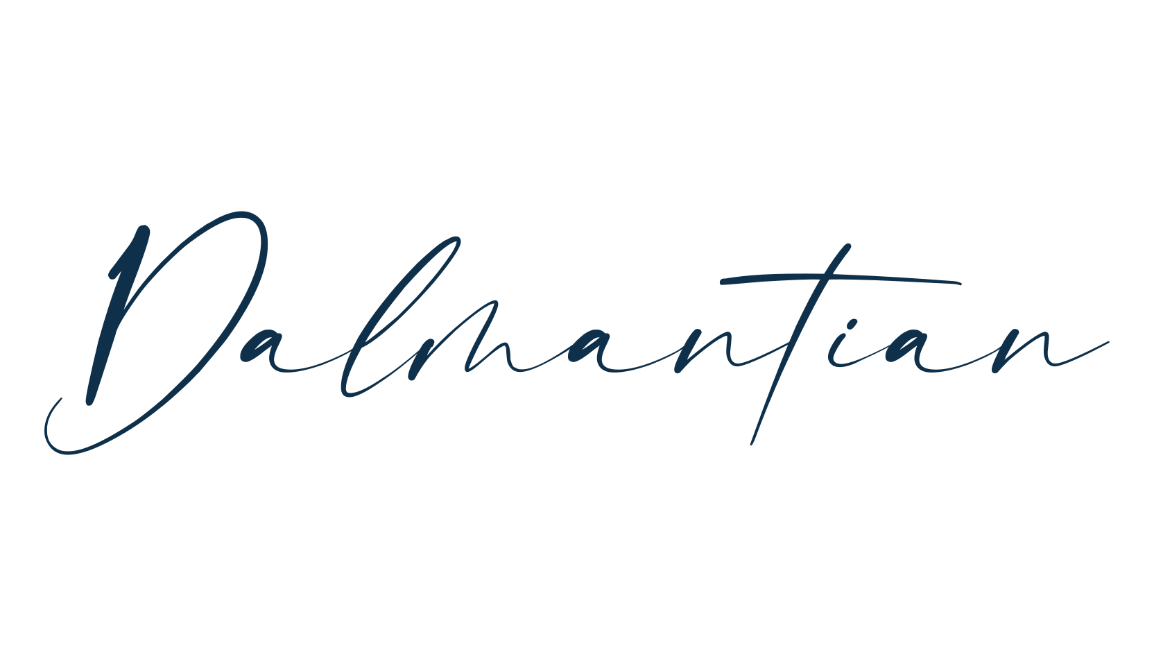Dalmantian, script handwritten fancy decorative calligraphy font preview