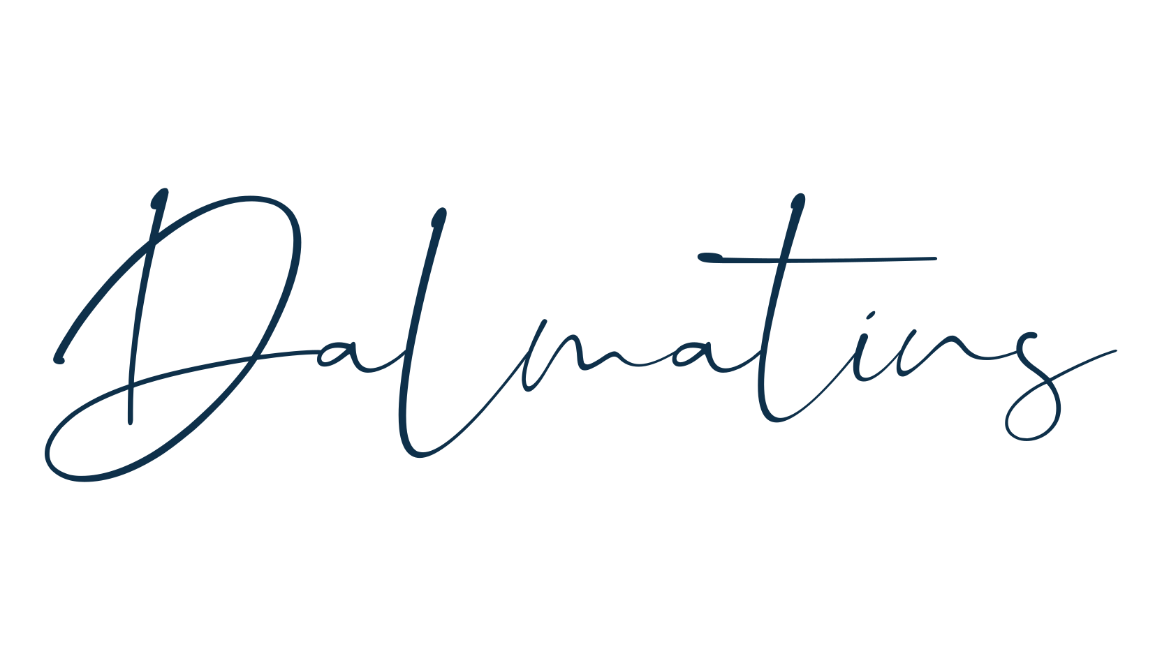 Dalmatins, script handwritten fancy decorative calligraphy font preview