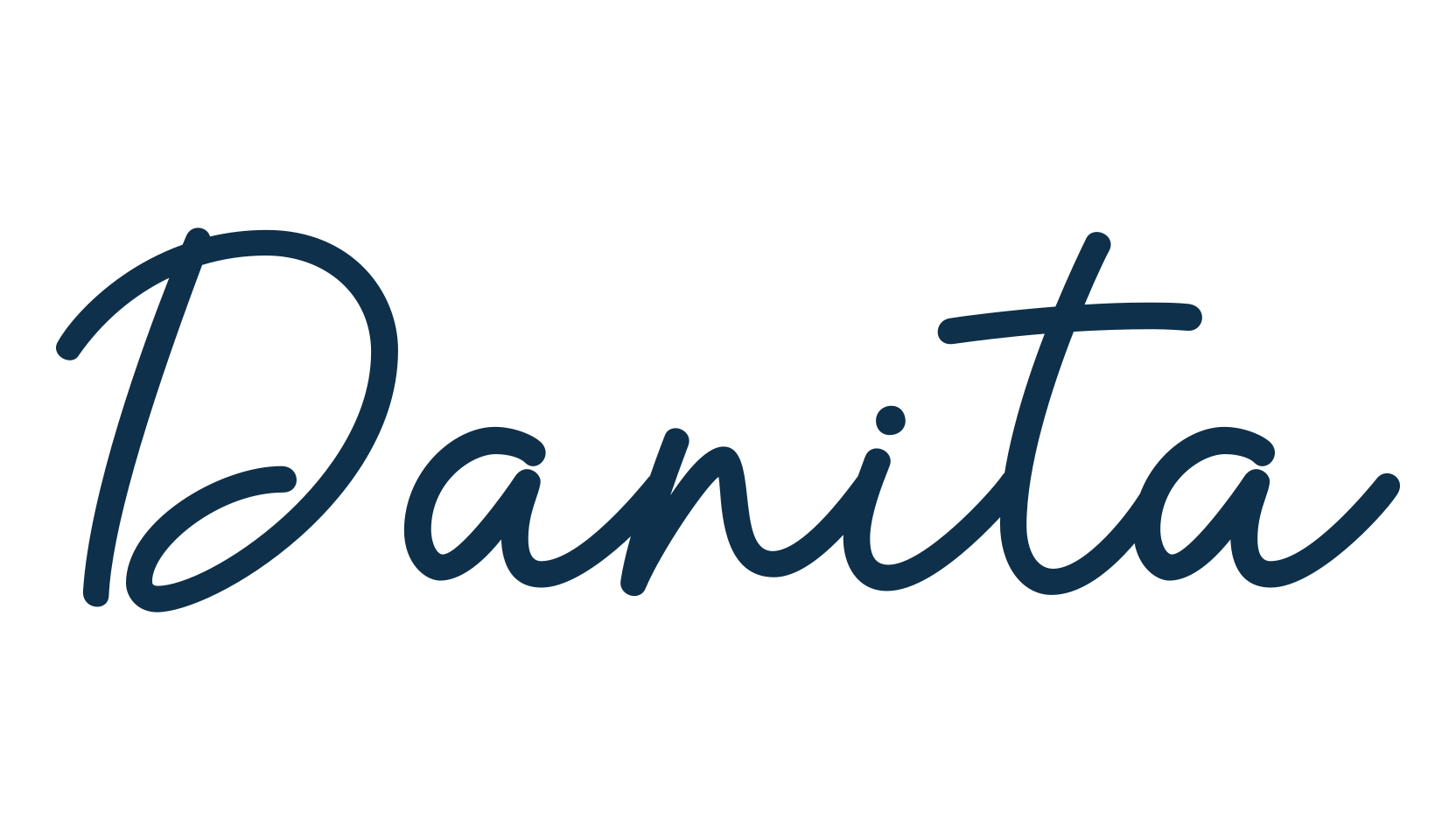 Danita, script handwritten fancy decorative calligraphy font preview