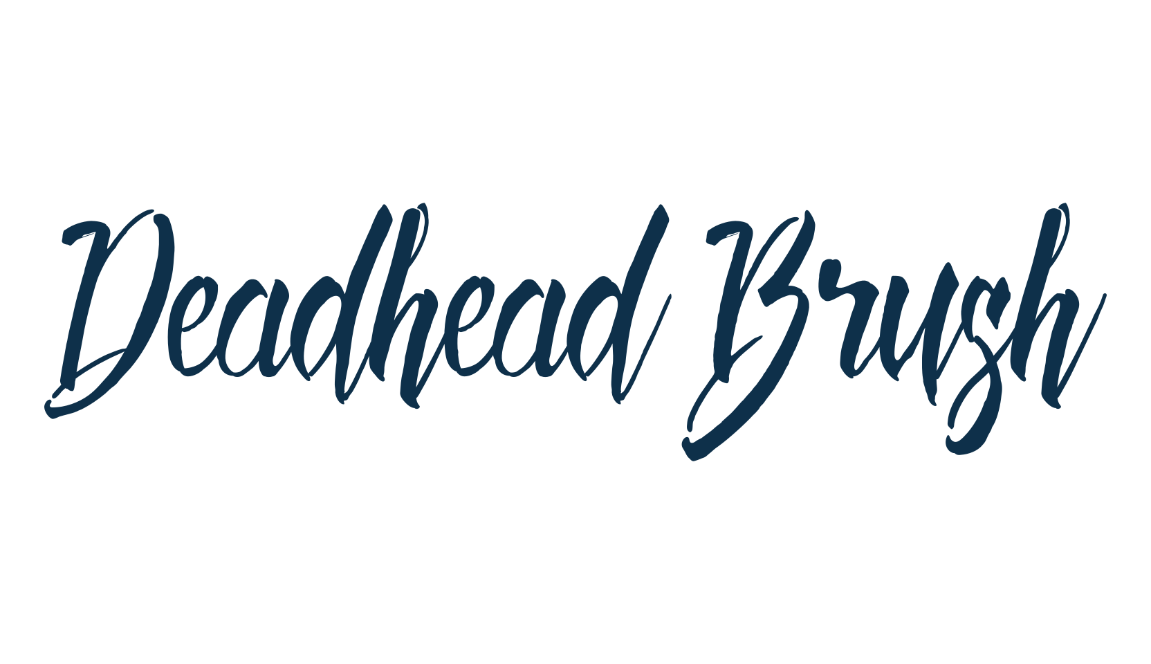 Deadhead Brush, script brush fancy decorative calligraphy font preview