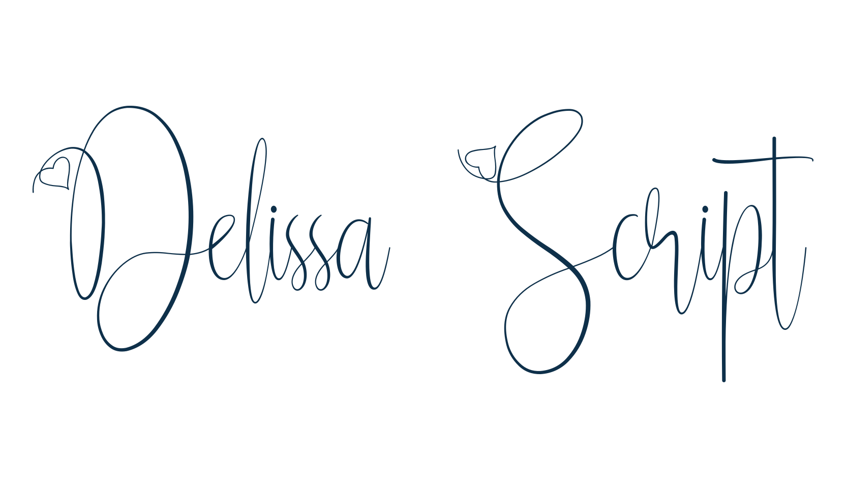 Delissa Script, script handwritten fancy decorative calligraphy font preview