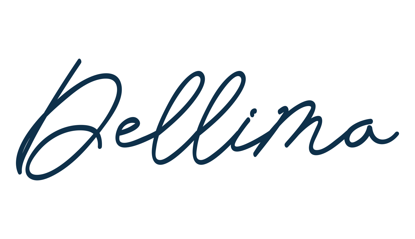 Dellima, script handwritten fancy decorative calligraphy font preview