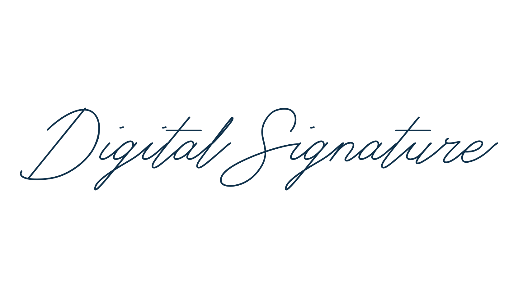 Digital Signature, script handwritten fancy decorative calligraphy font preview