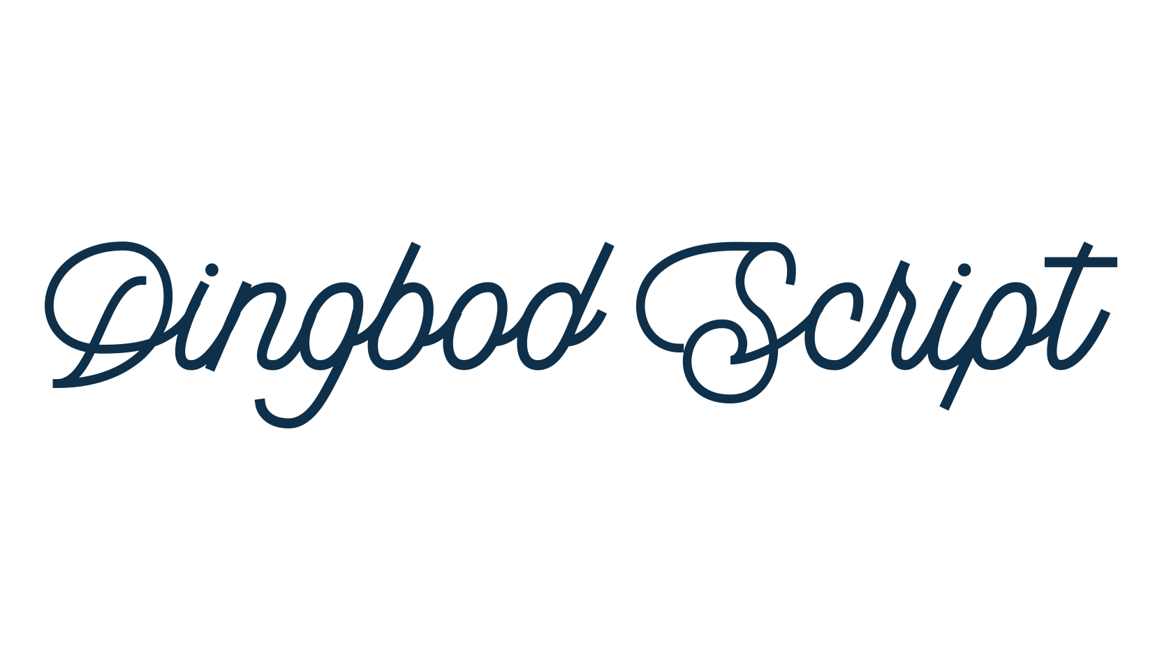 Dingbod Script, fancy decorative font preview