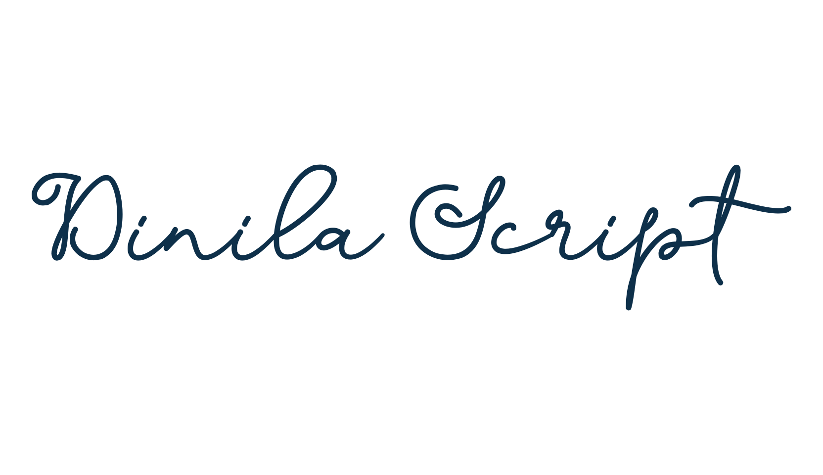 Dinila Script, script handwritten fancy decorative calligraphy font preview