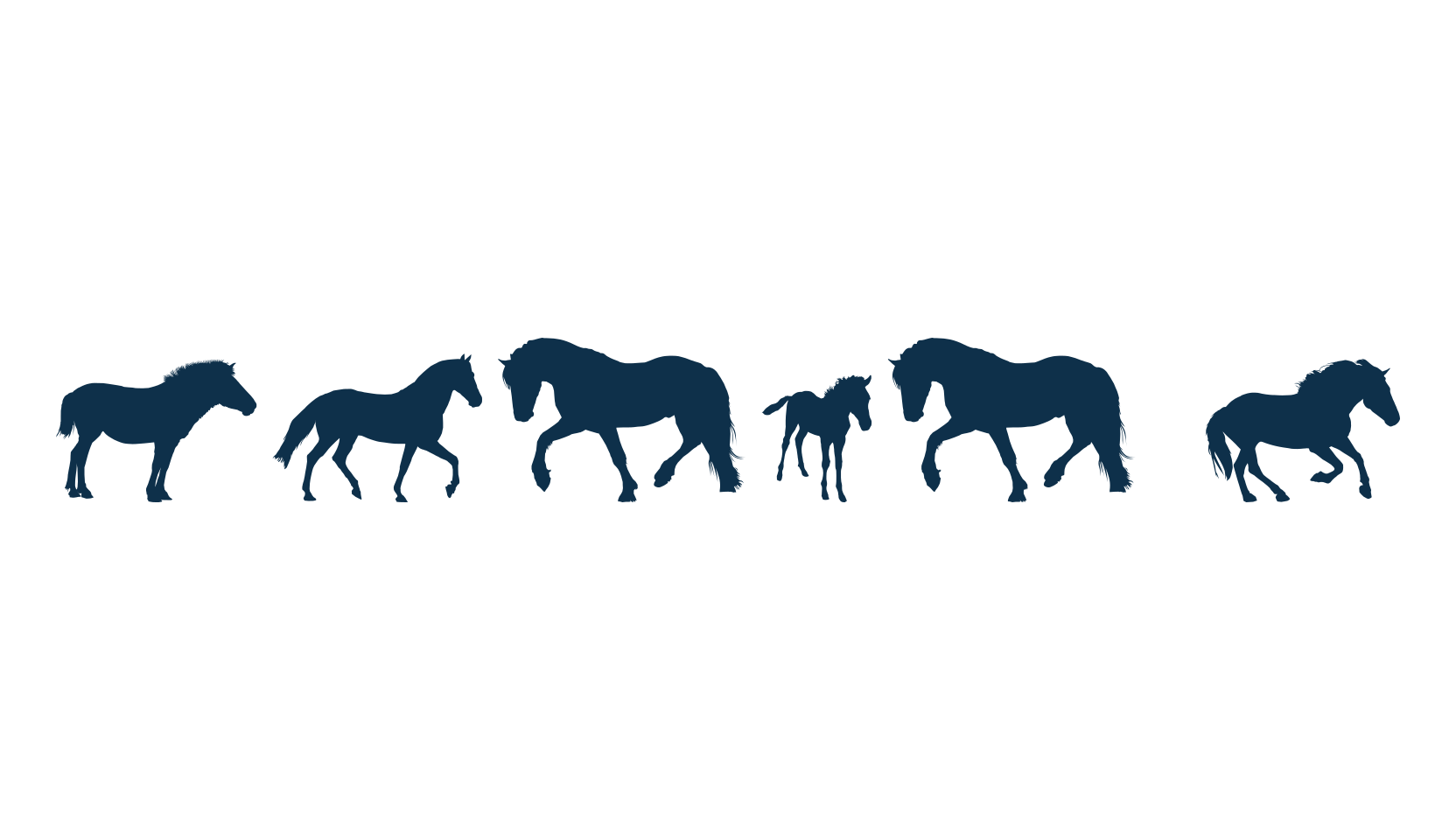 DJ Horses 1, fancy decorative font preview