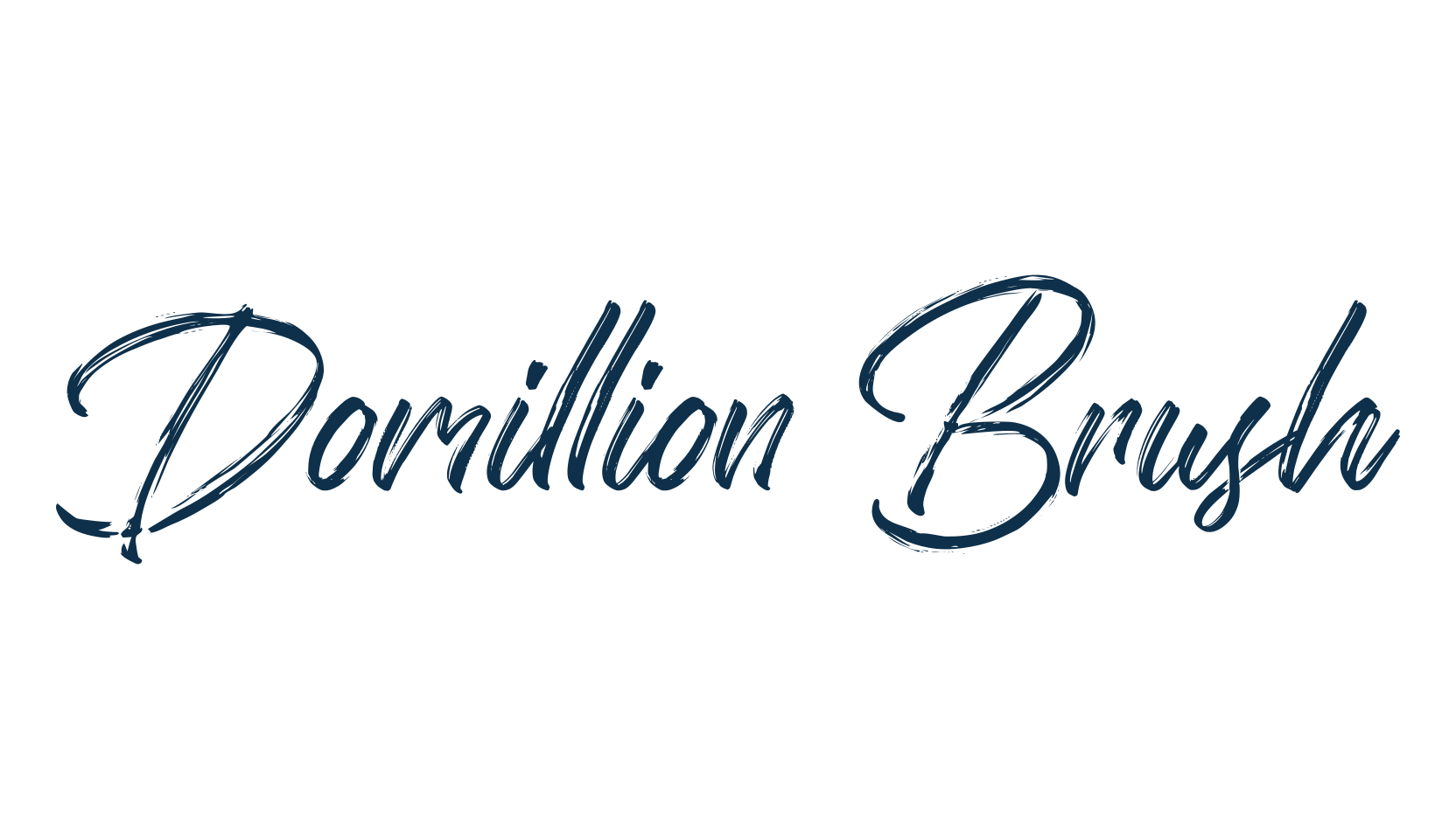Domillion Brush, script brush fancy decorative calligraphy font preview