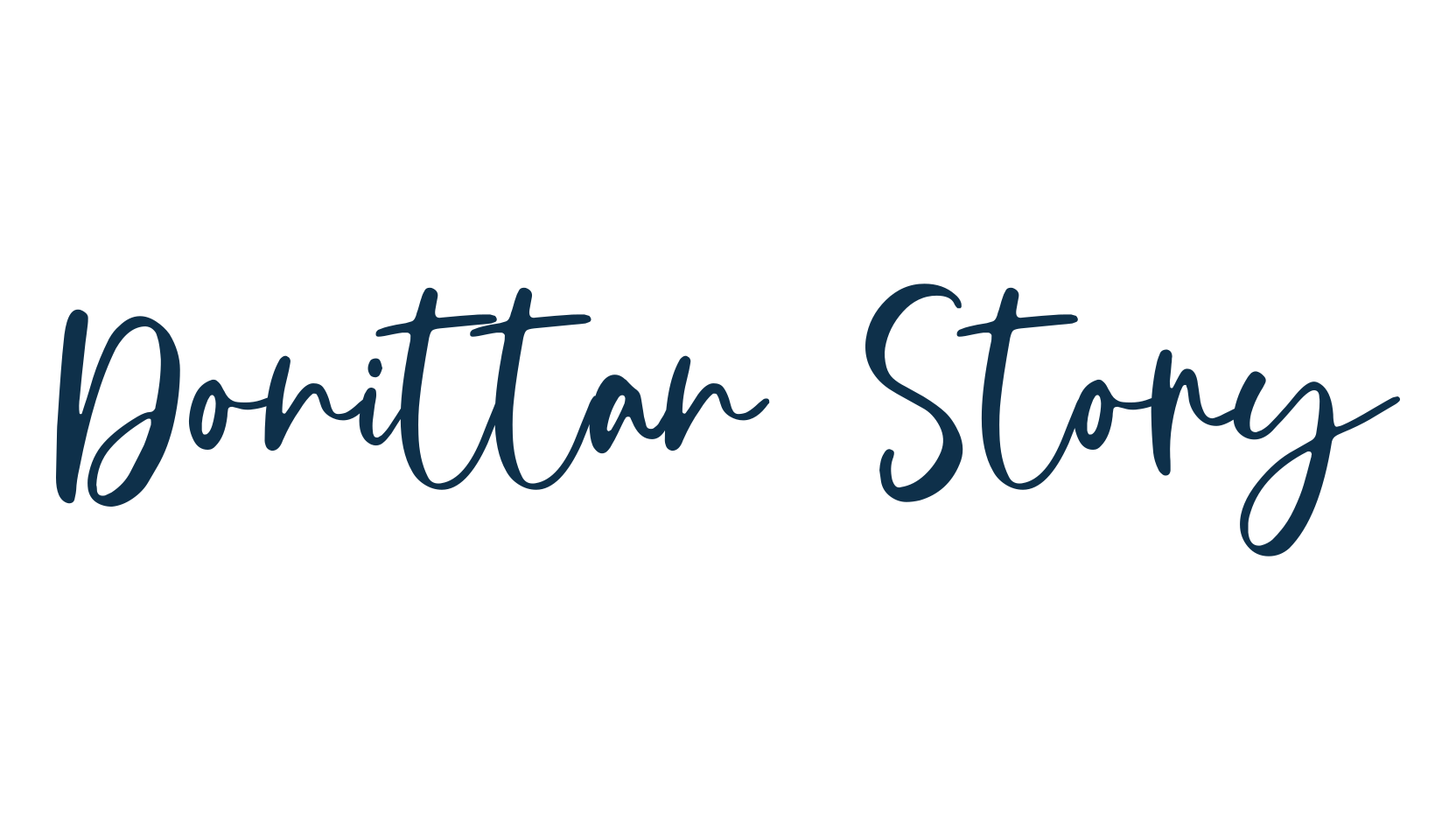 Donittan Story, script handwritten fancy decorative calligraphy font preview