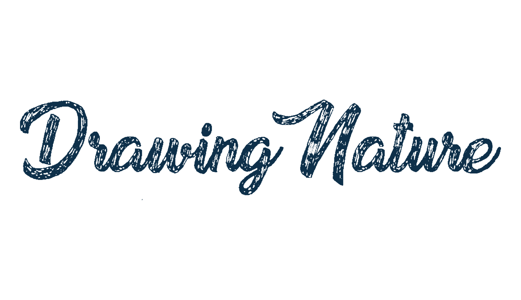 Drawing Nature, fancy various decorative script calligraphy font preview