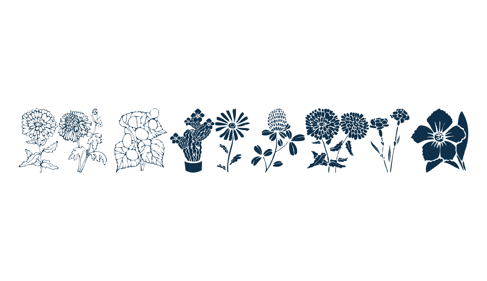 DT Flowers, fancy decorative font preview