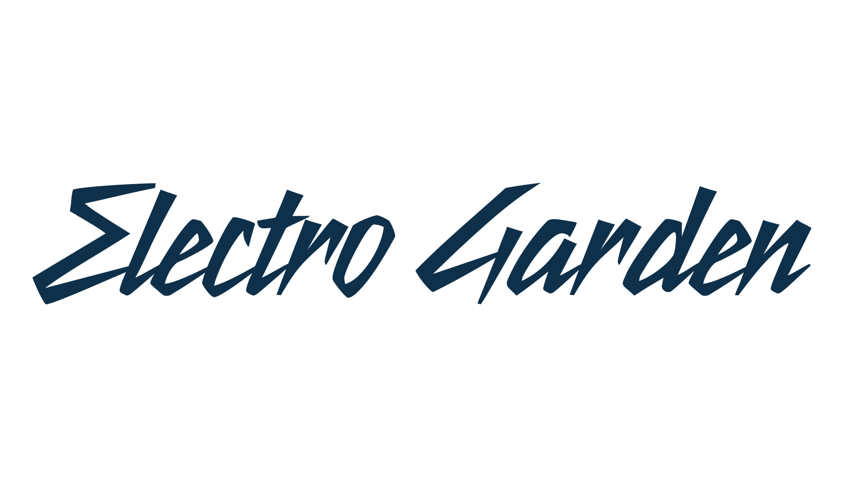 Electro Garden, fancy various decorative script calligraphy font preview