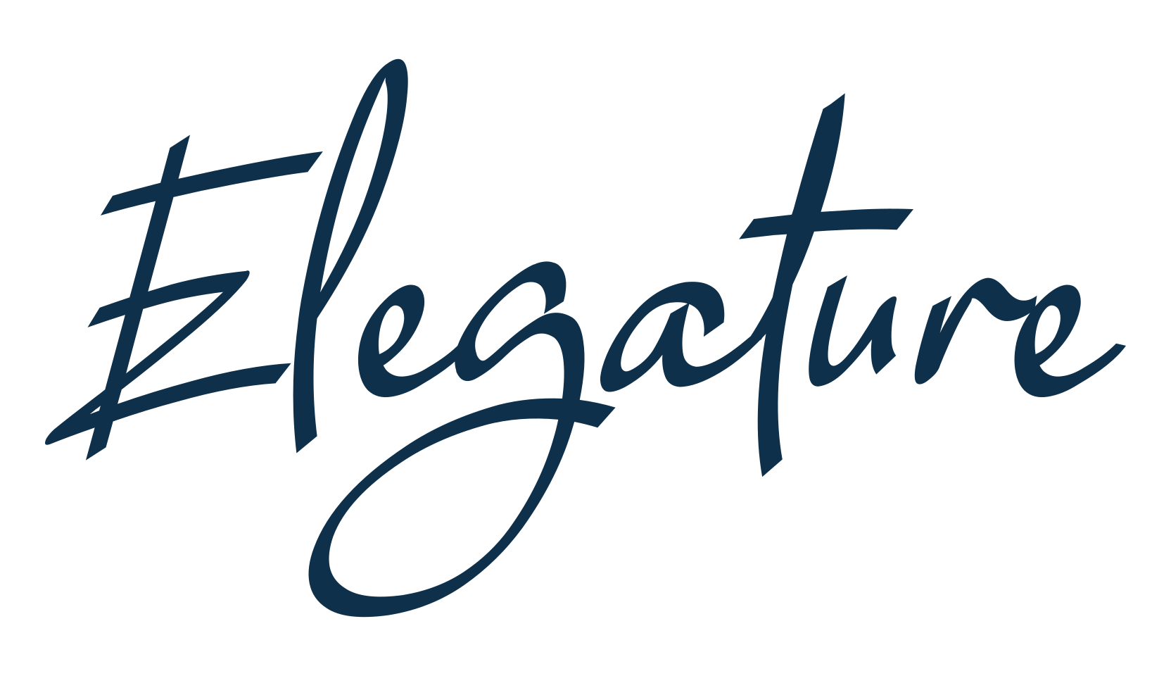 Elegature, script calligraphy fancy decorative font preview