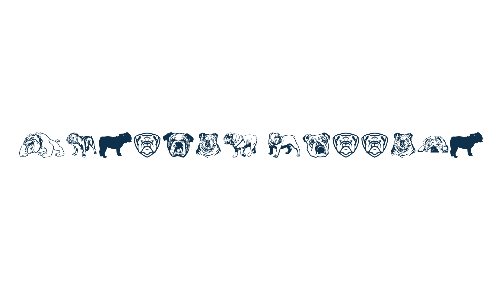 English Bulldog, display market font preview