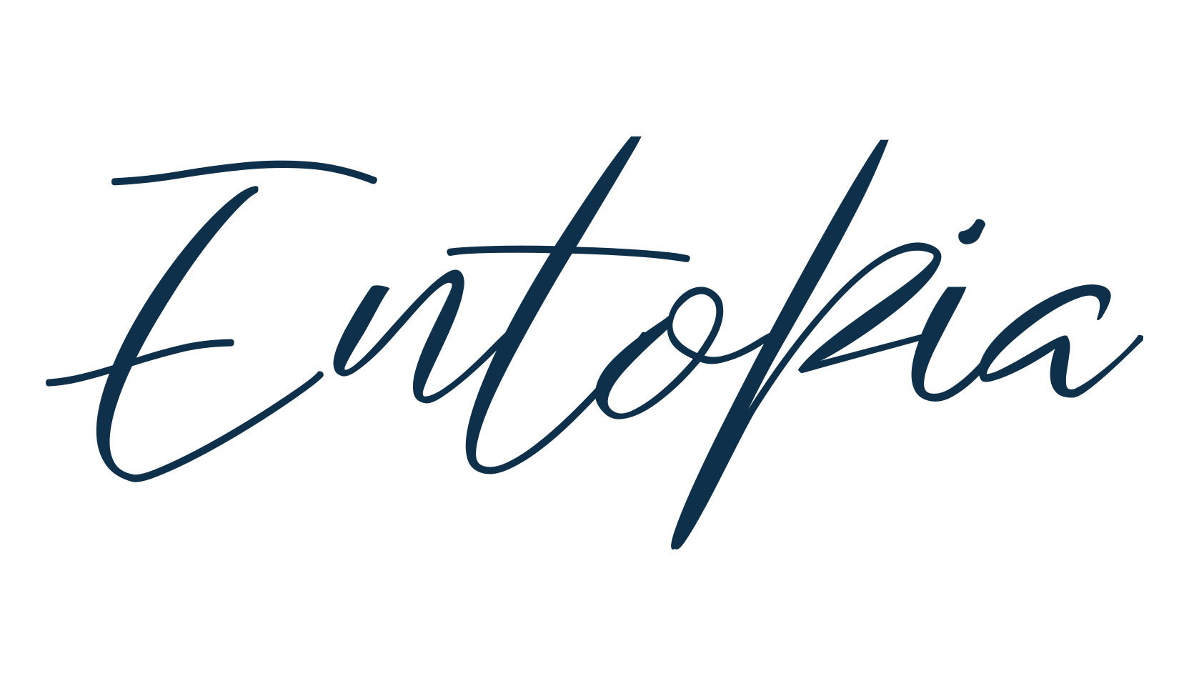 Entopia, handwriting font preview
