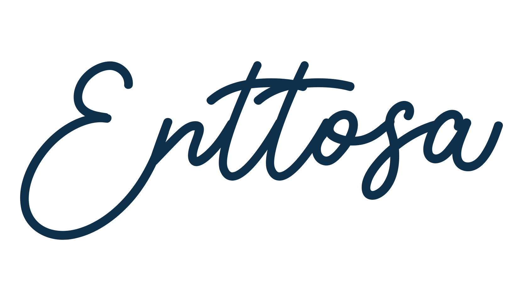 Enttosa, script handwritten fancy decorative calligraphy font preview