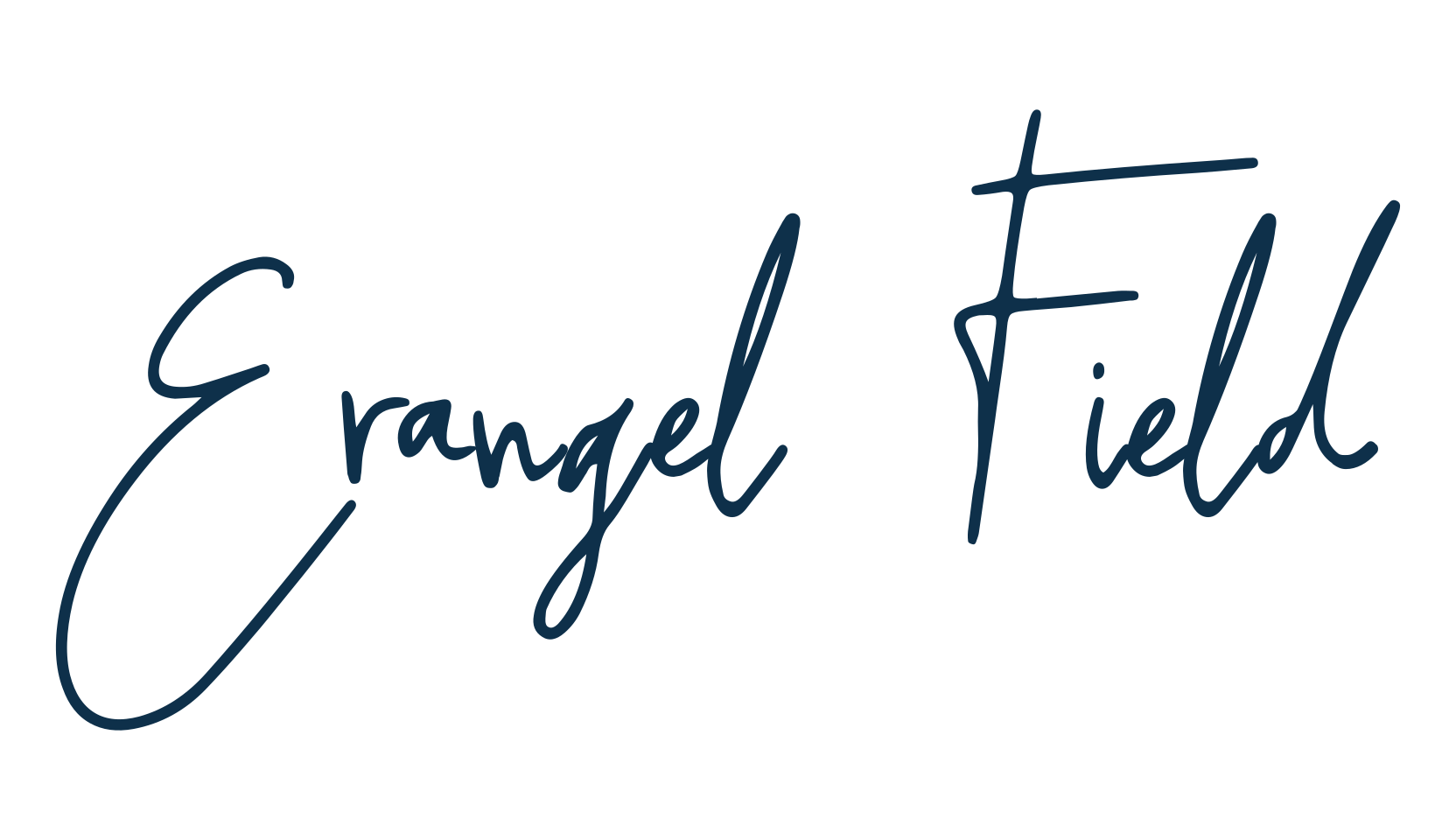 Erangel Field, script handwritten fancy decorative calligraphy font preview