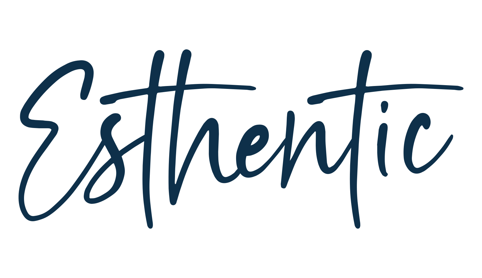 Esthentic, script handwritten fancy decorative calligraphy font preview