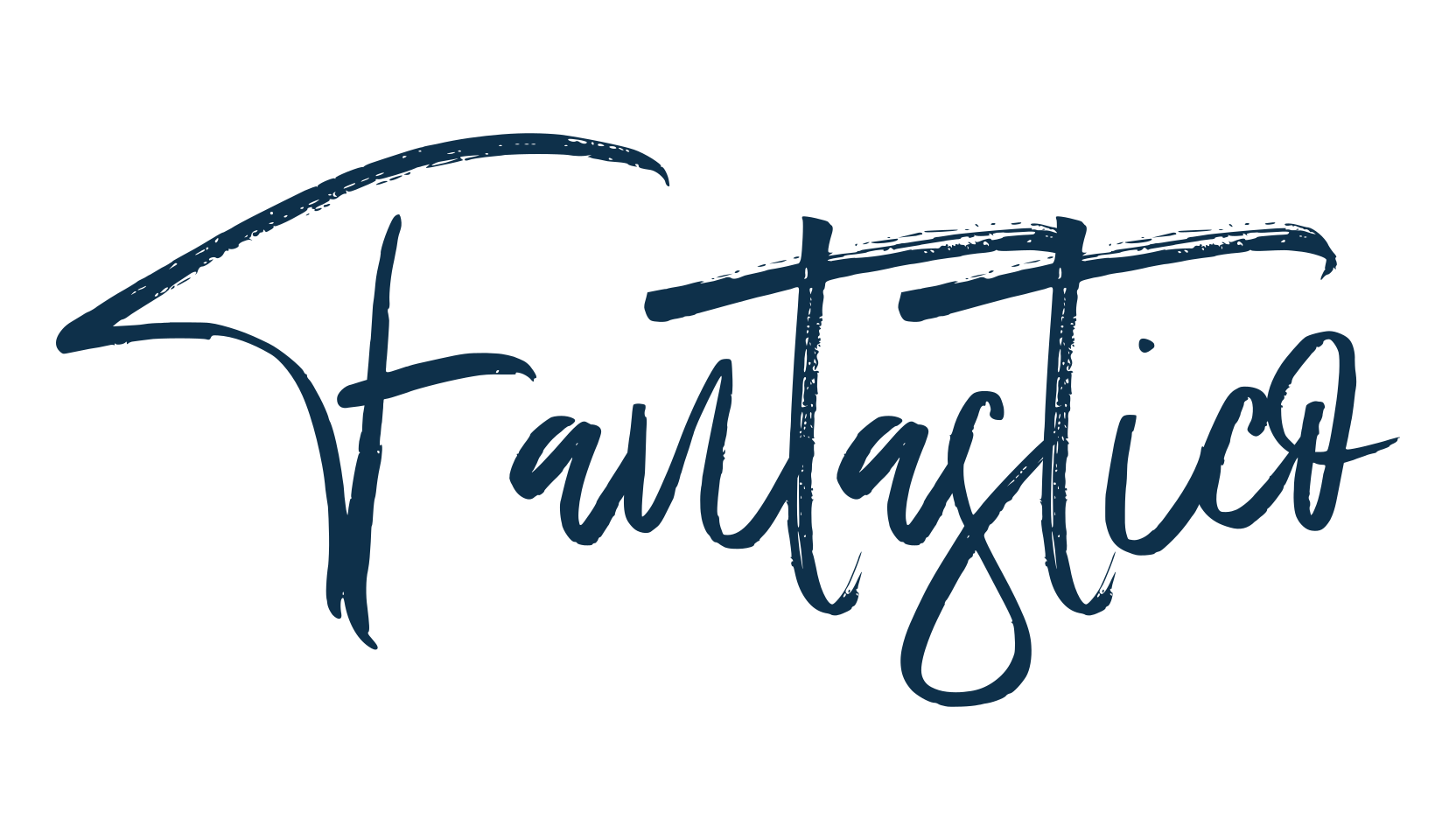 Fantastico, script brush fancy decorative calligraphy font preview