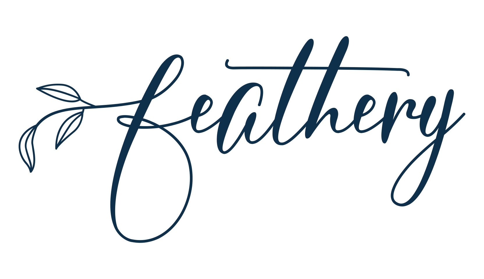 Feathery, fancy various decorative script calligraphy font preview
