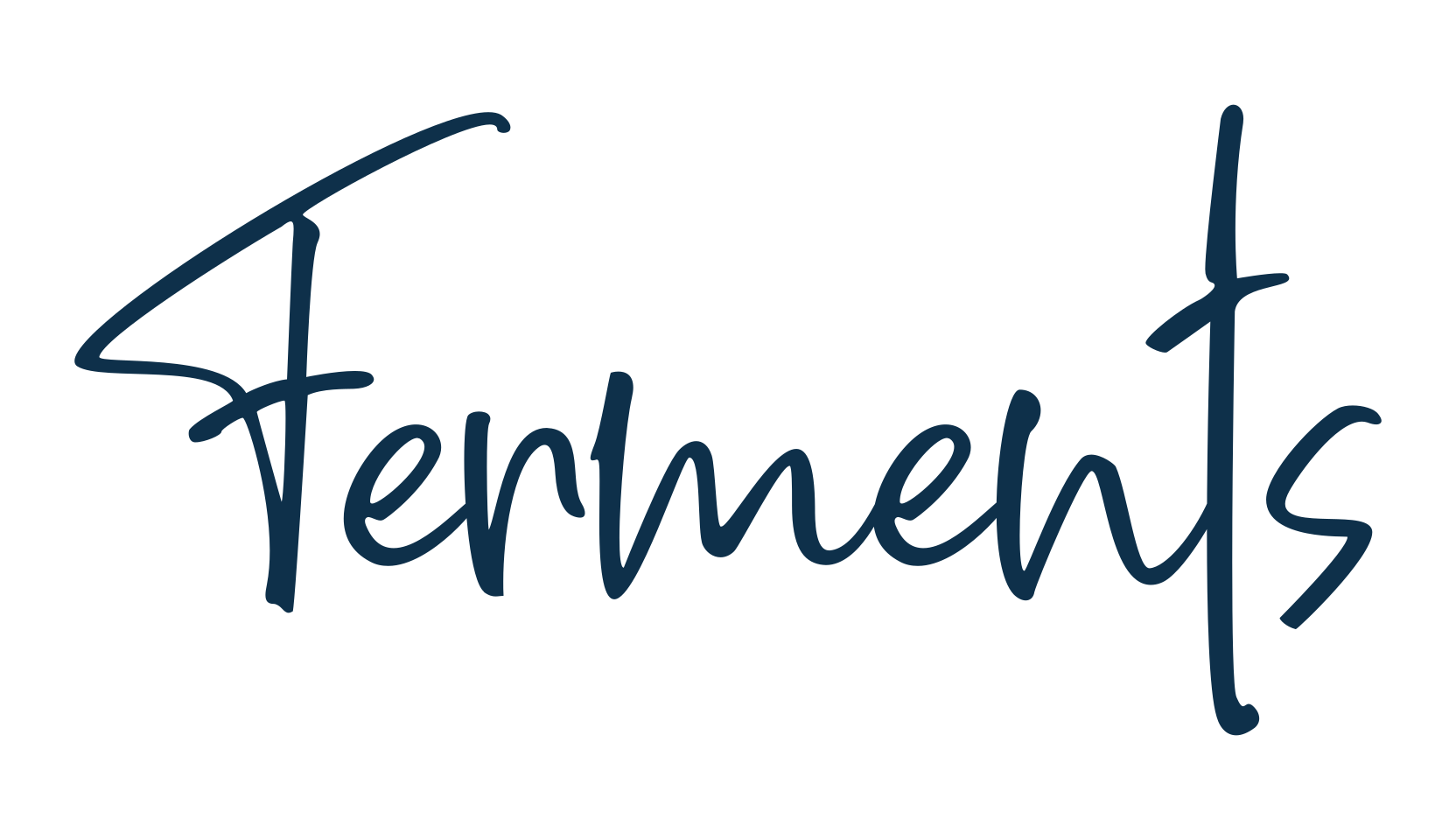 Ferments, script handwritten fancy decorative calligraphy font preview