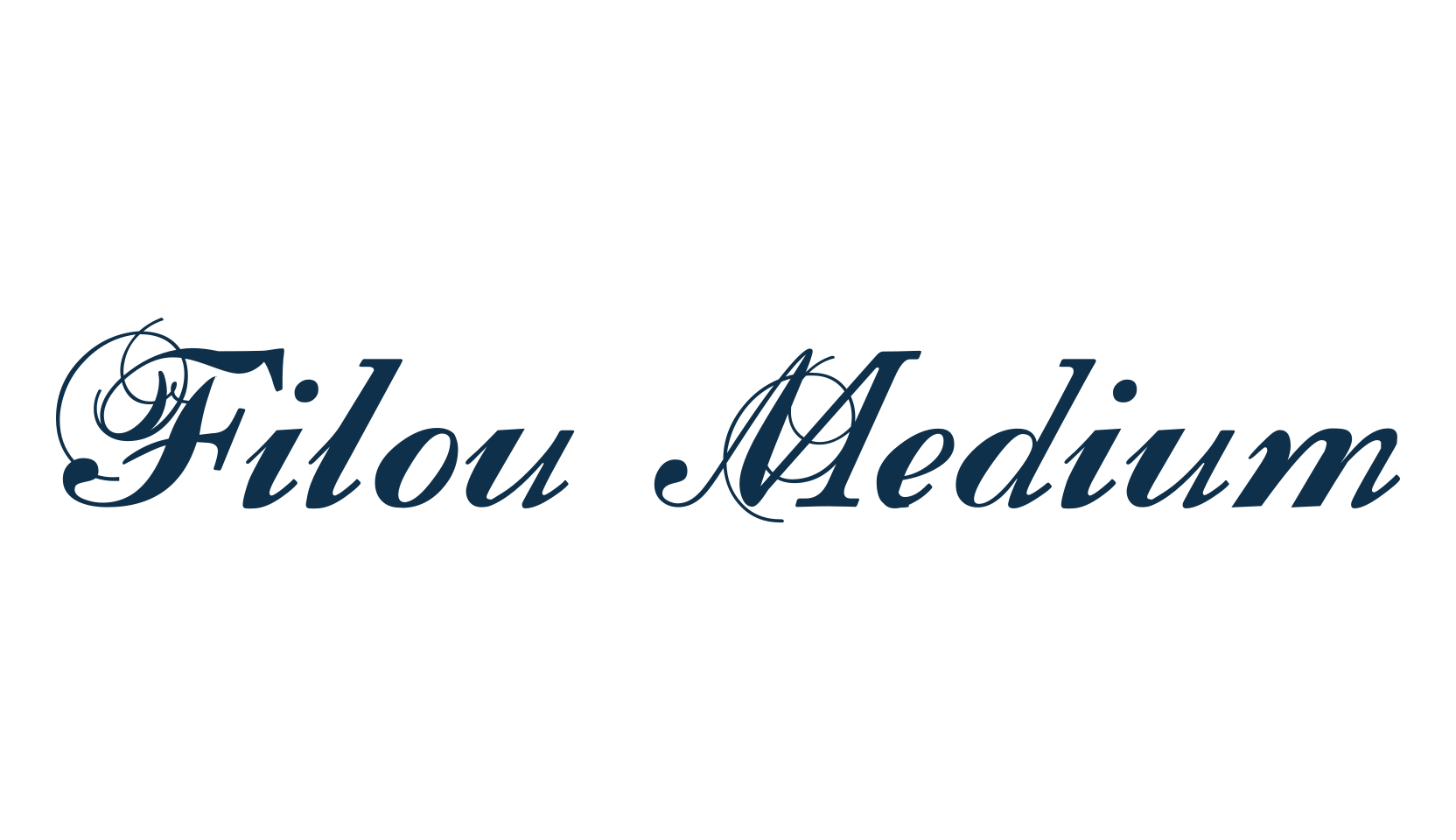 Filou Medium, fancy various decorative script calligraphy font preview