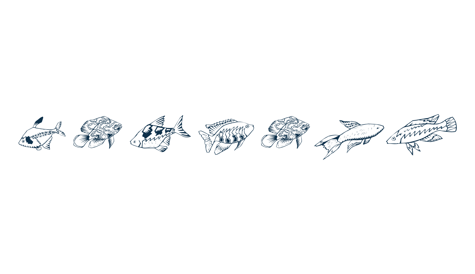 Fishing (fishing), fancy decorative font preview