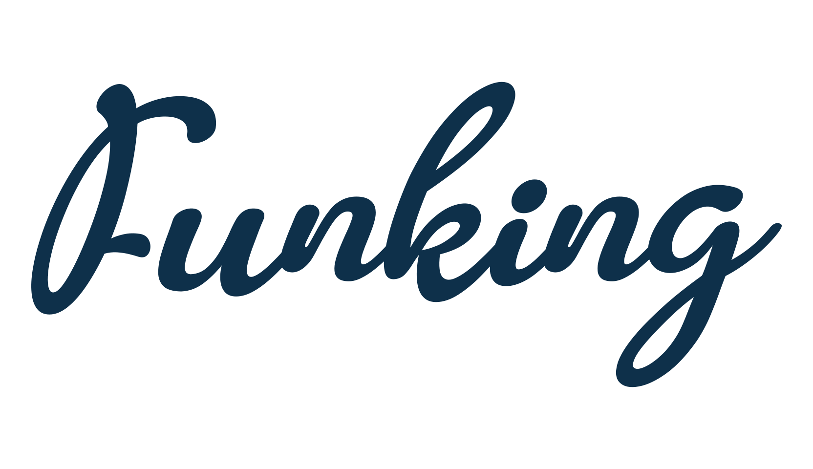 Funking, fancy various decorative script calligraphy font preview