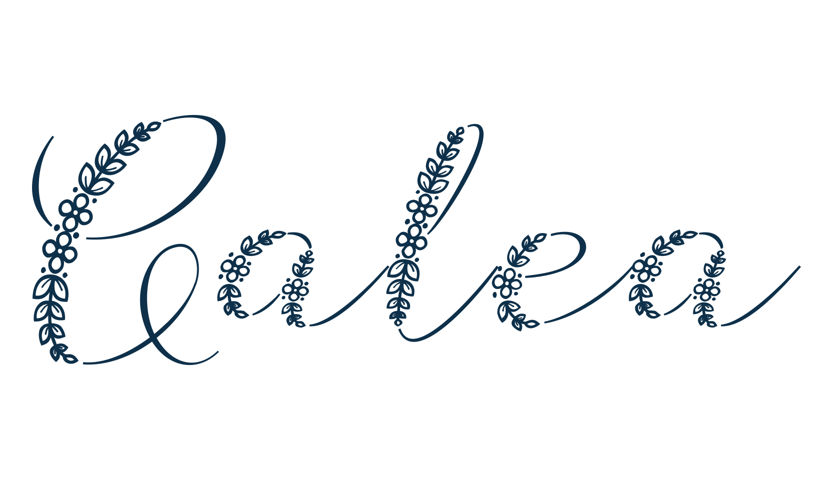 Galea, fancy various decorative script calligraphy font preview