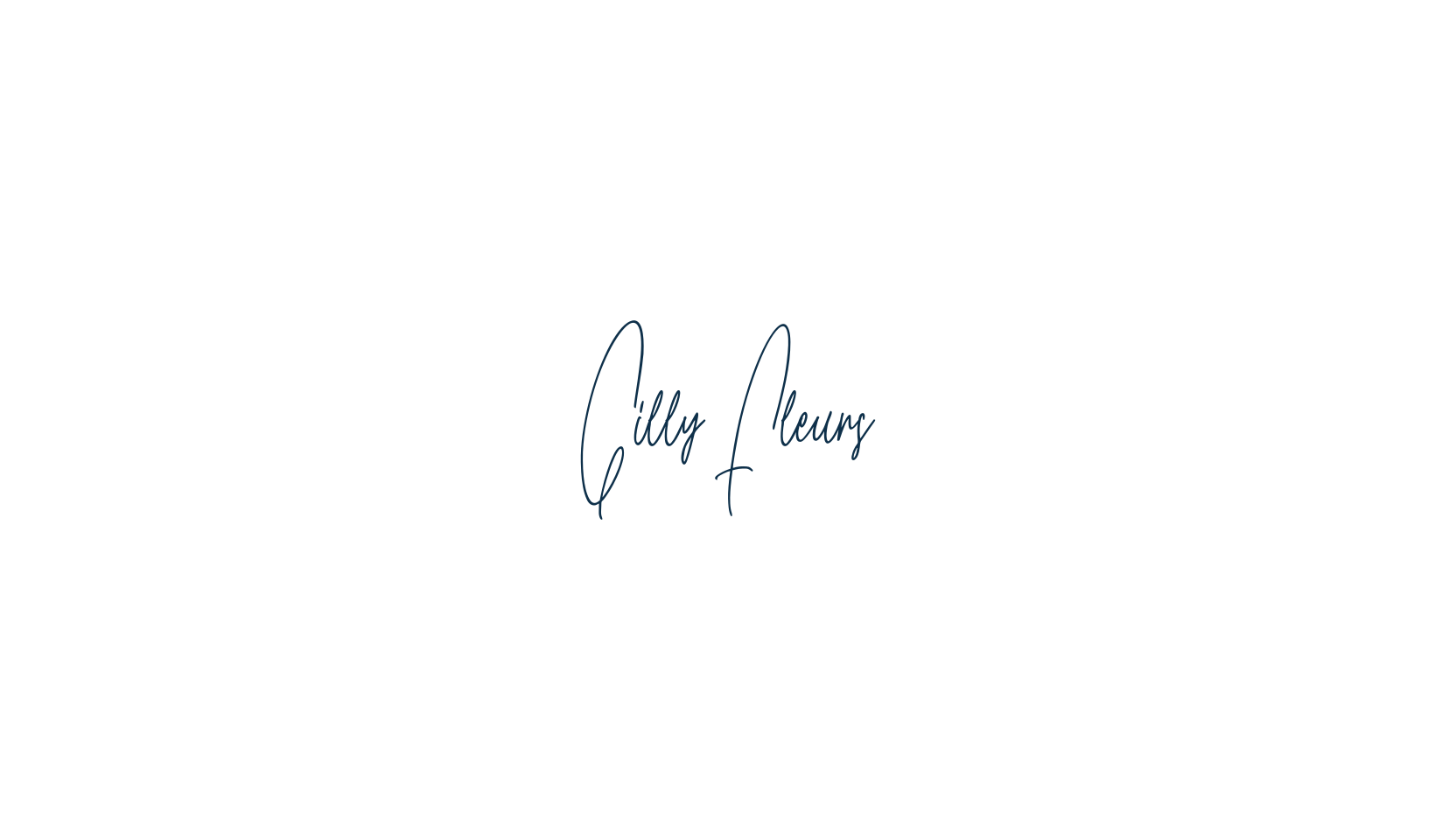 Gilly Fleurs, script handwritten fancy decorative calligraphy font preview