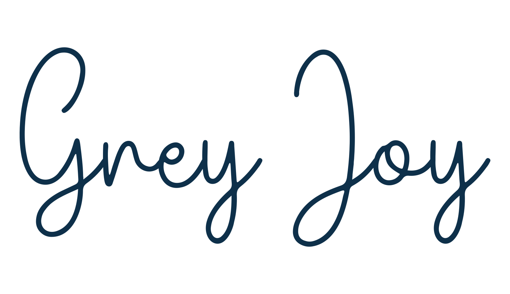Grey Joy, script handwritten fancy decorative calligraphy font preview