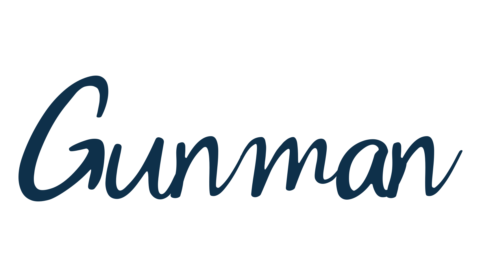 Gunman, script handwritten fancy decorative calligraphy font preview