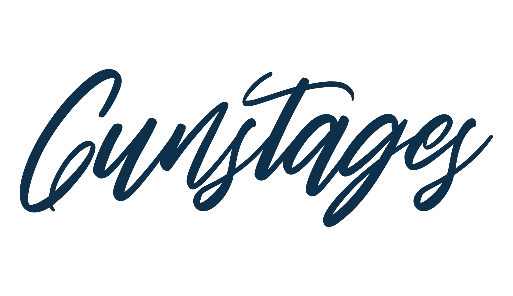 Gunstages, script handwritten fancy decorative calligraphy font preview