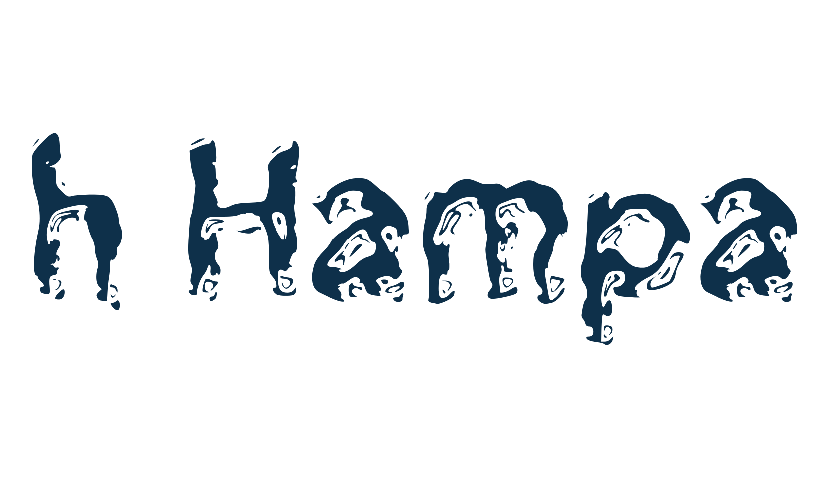 h Hampa, fancy decorative font preview