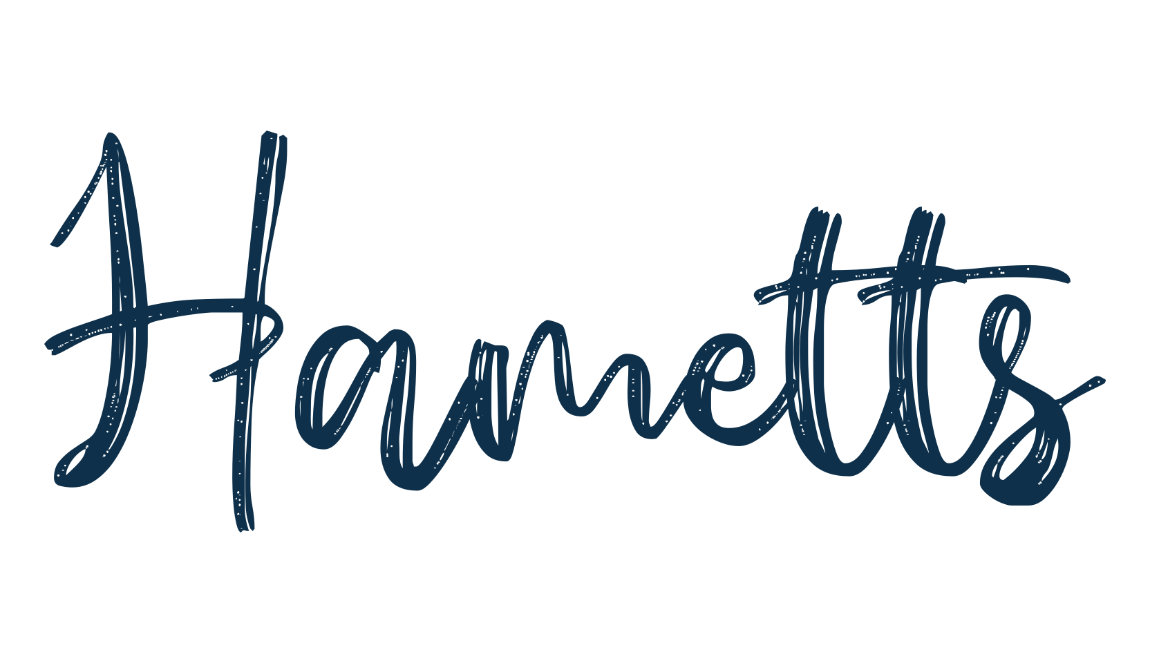 Hametts, script brush fancy decorative calligraphy font preview
