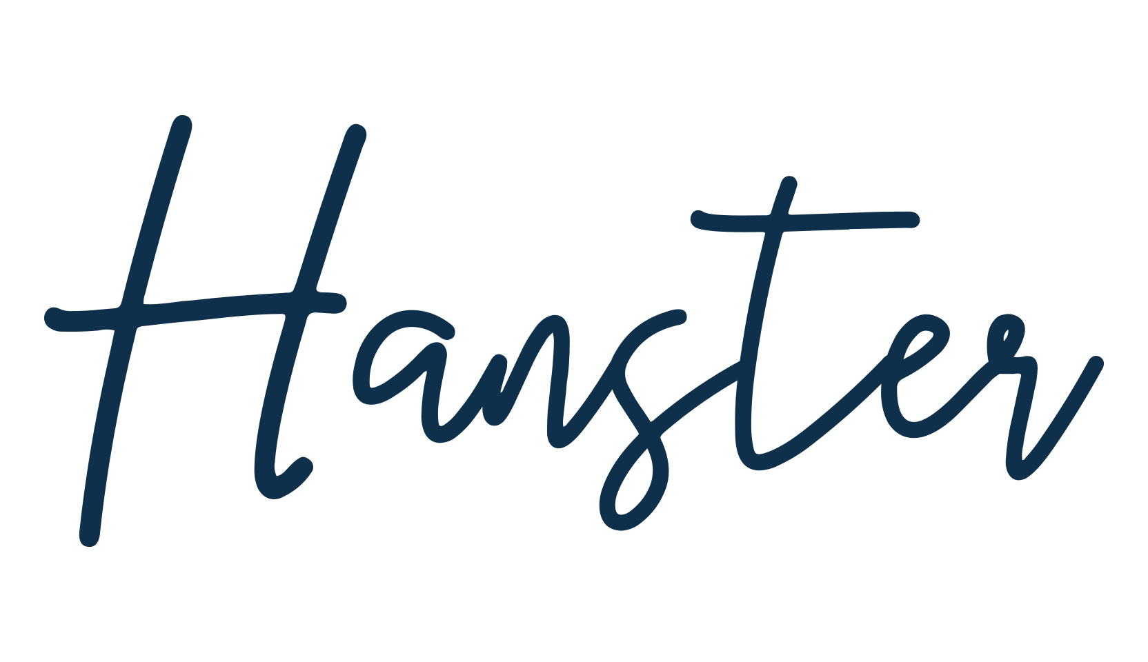 Hanster, script handwritten fancy decorative calligraphy font preview