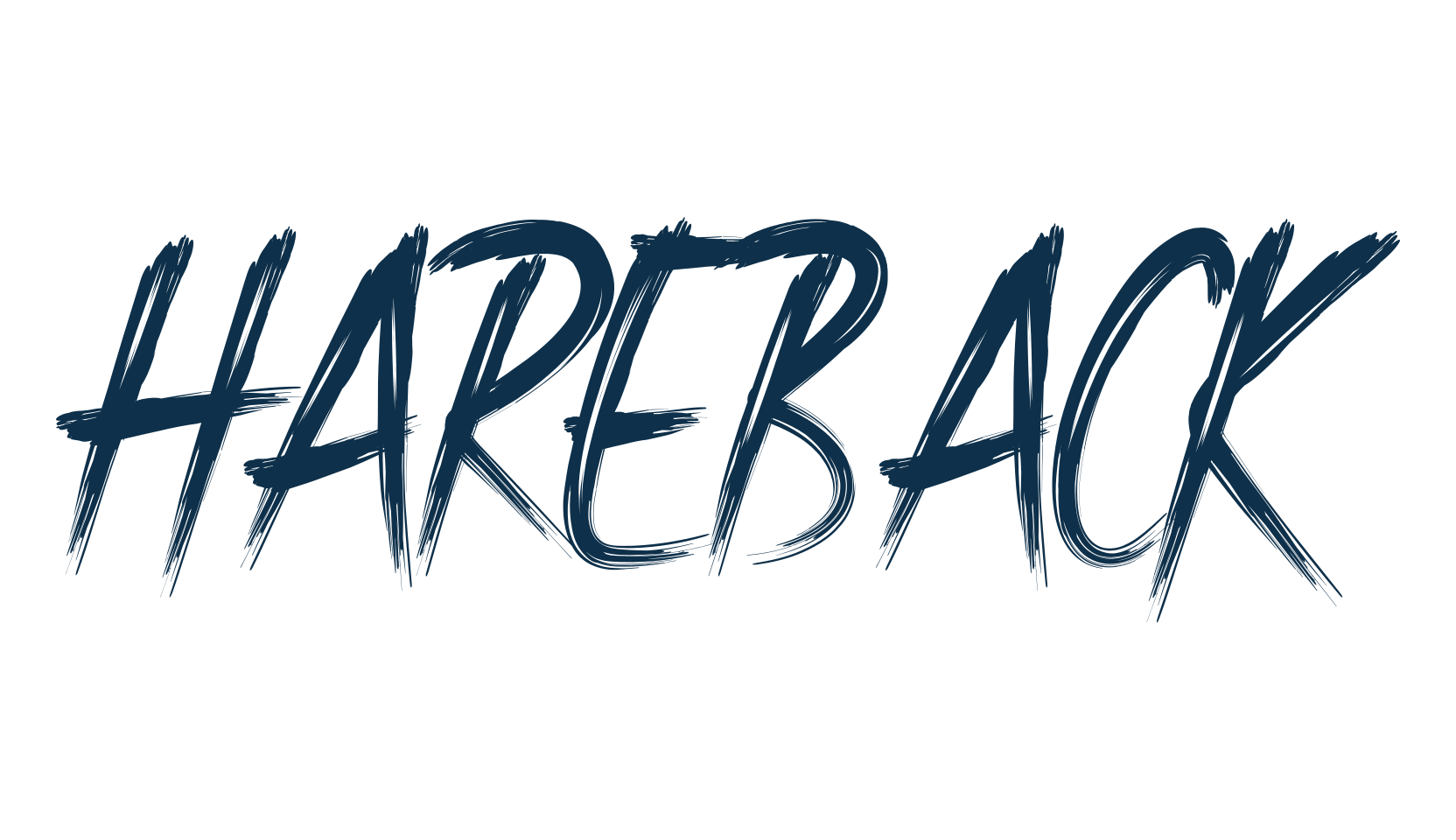 Hareback, script brush fancy decorative calligraphy font preview