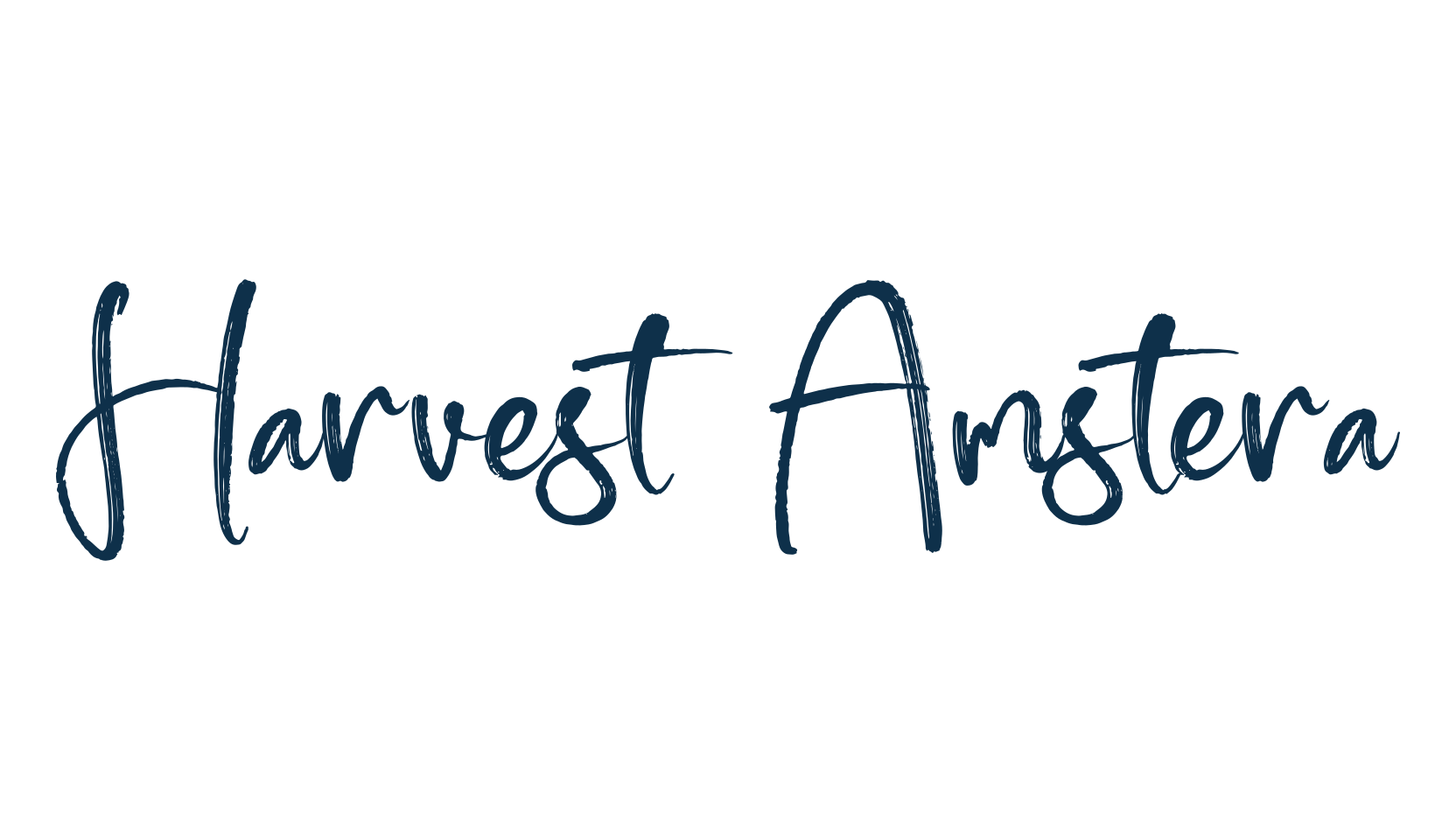 Harvest Amstera, script brush fancy decorative calligraphy font preview