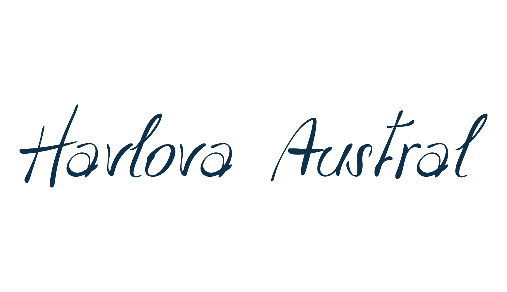 Havlova Austral, script handwritten fancy decorative calligraphy font preview