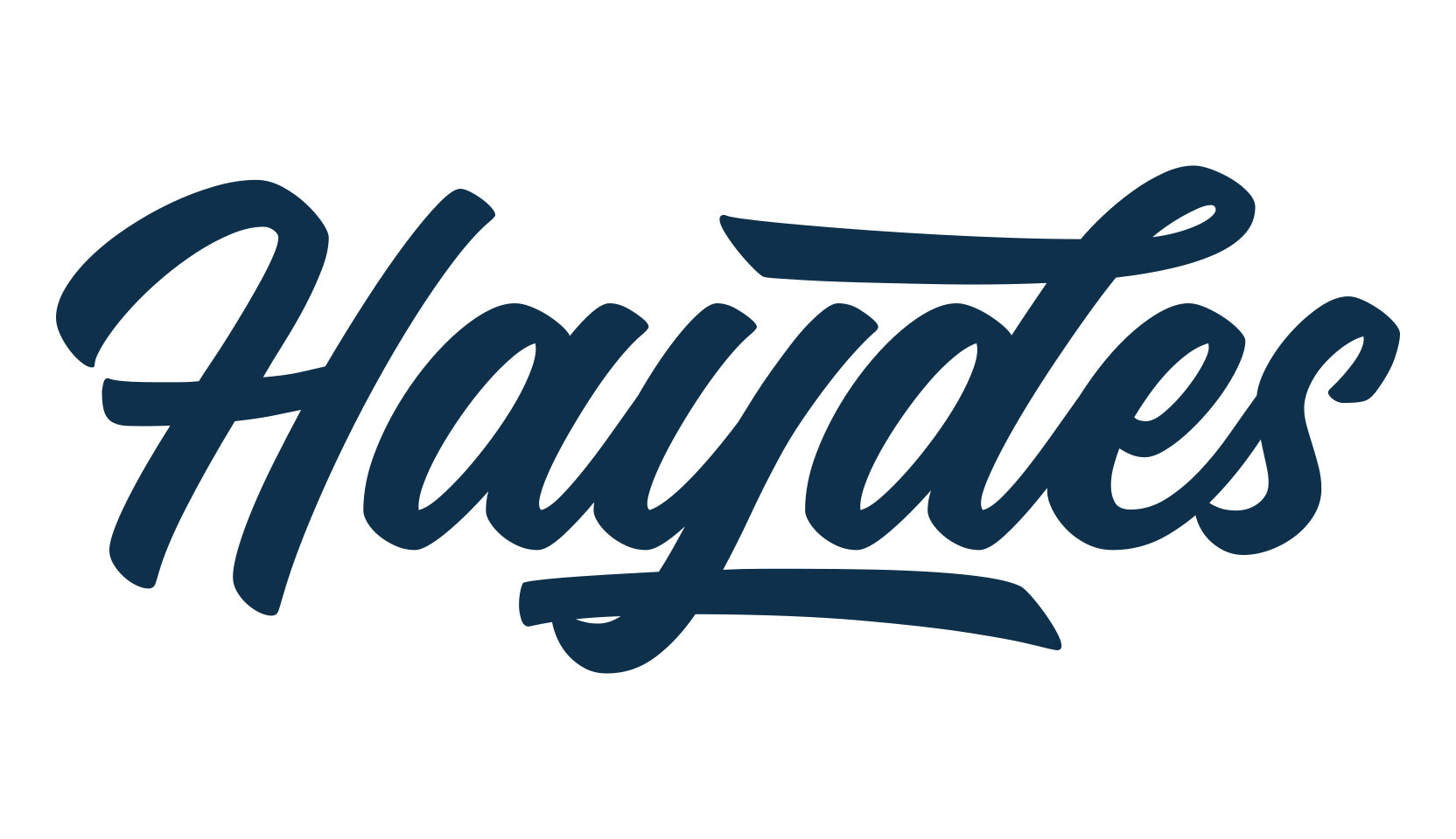 Haydes, script brush fancy decorative calligraphy font preview