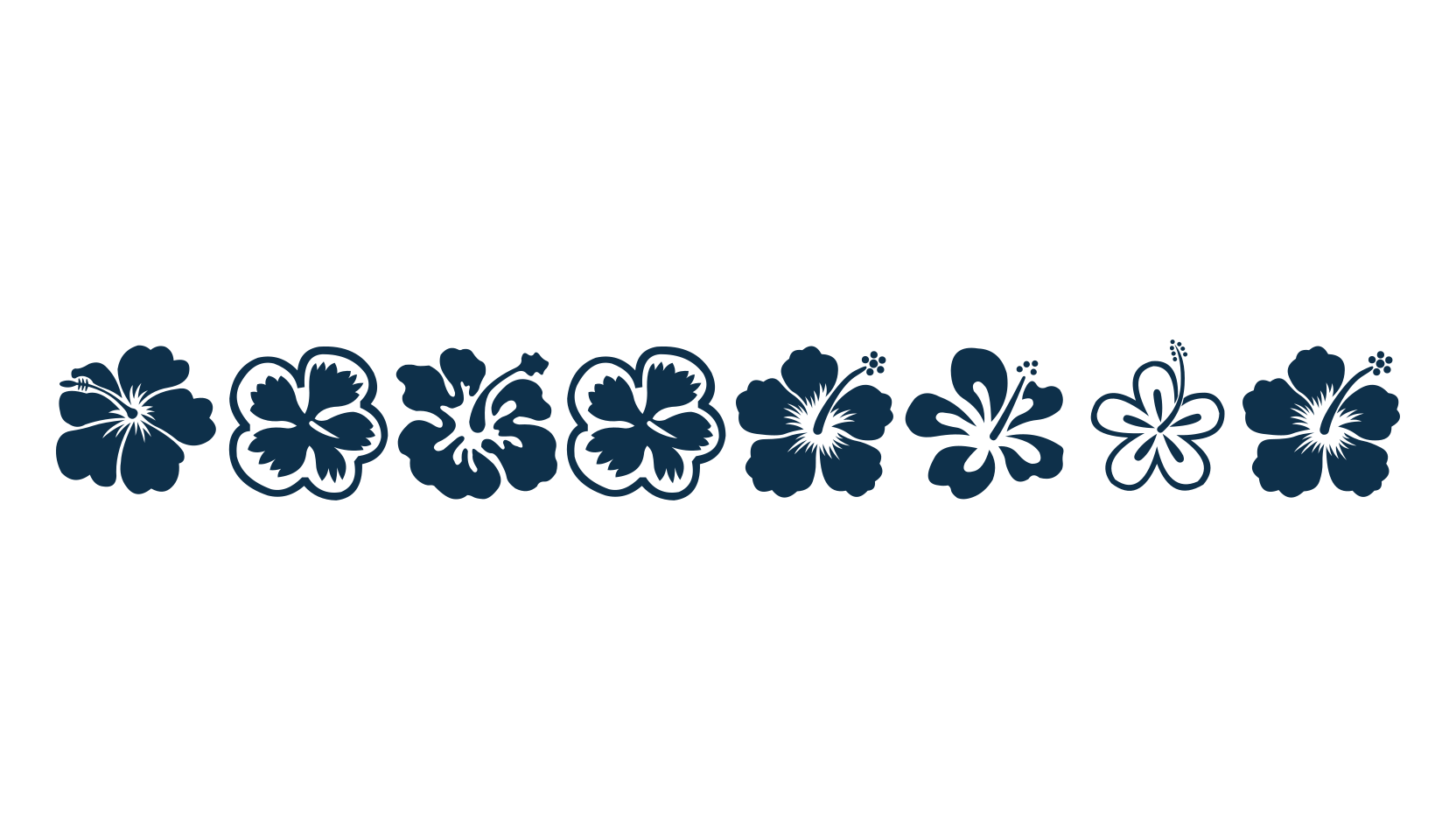 Hibiscus (hibiscus), display market font preview
